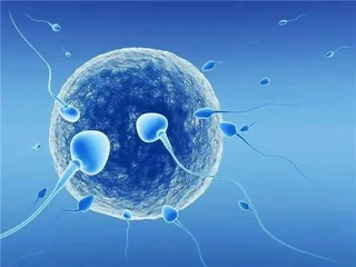 chorionic gonadotropin HCG uses CAS 9002-61-3 | Shaanxi BLOOM Tech Co., Ltd chorionic gonadotropin HCG uses CAS 9002-61-3 | Shaanxi BLOOM Tech Co., Ltd