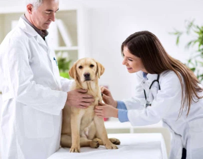 Fluralaner Online | Shaanxi BLOOM Tech Co., Ltd Fluralaner Online | Shaanxi BLOOM Tech Co., Ltd