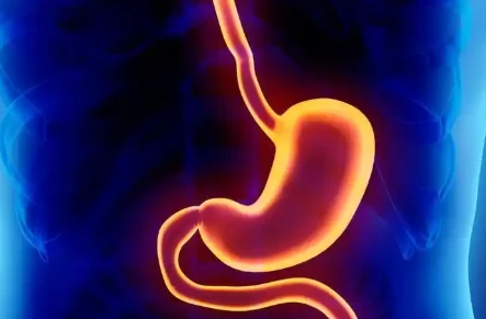 Bioglutide NA-931 cost | Shaanxi BLOOM Tech Co., Ltd