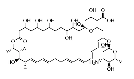 nystatin structure | Shaanxi BLOOM Tech Co., Ltd nystatin structure | Shaanxi BLOOM Tech Co., Ltd